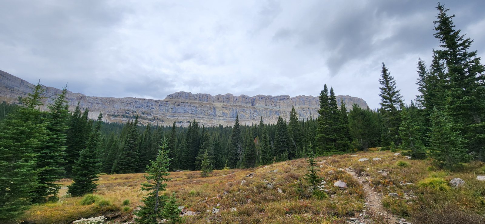 Approaching the Wall.