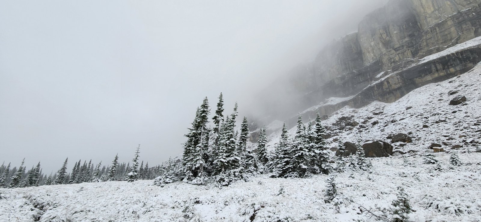 My disappointment didn't last too long... our walk along the wall in the
 snow was pretty epic. Views came in and out, but the falling snow and 
ominous presence of the wall at our side was pretty awesome.