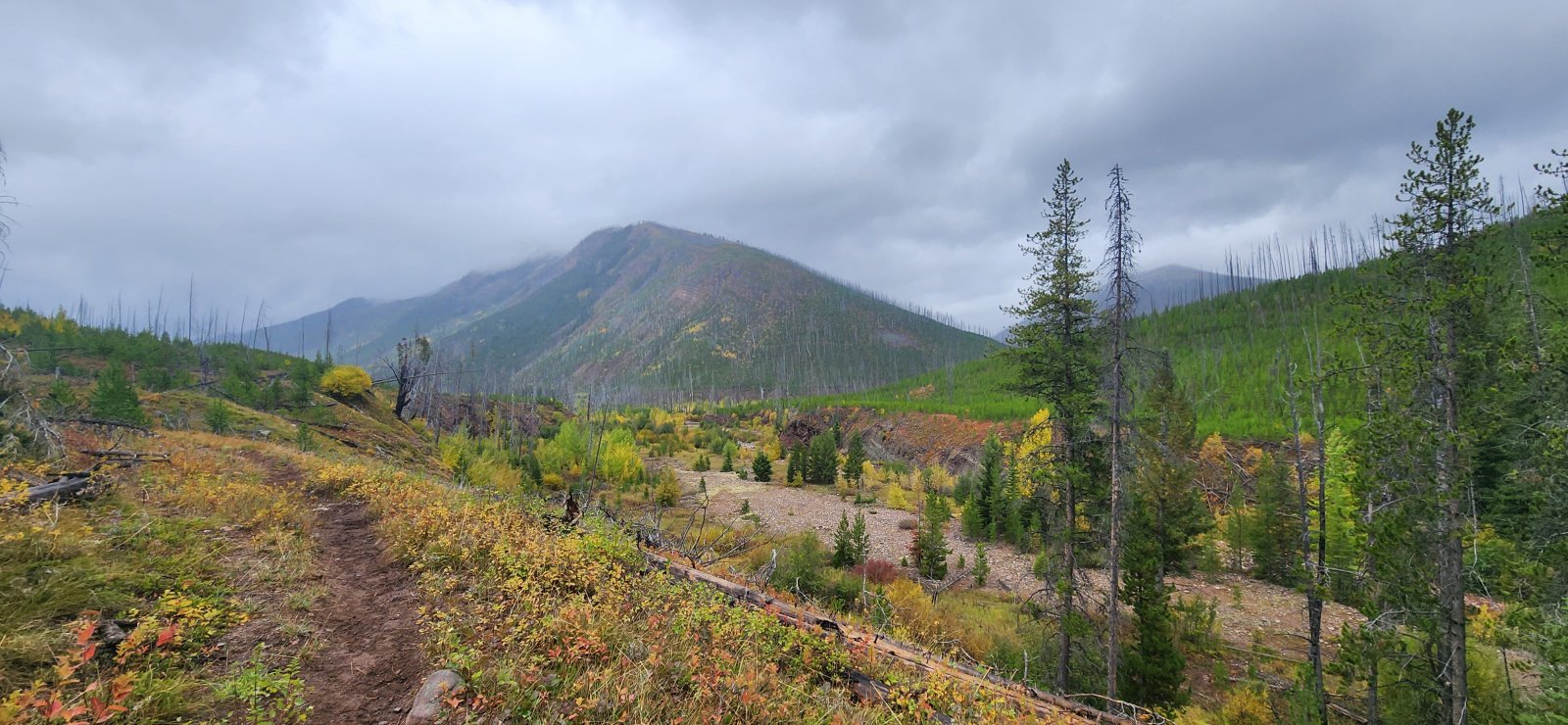 Almost back to our first night's camp.