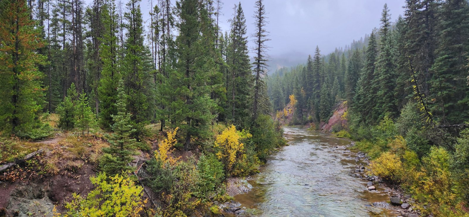 Back to the trailhead.