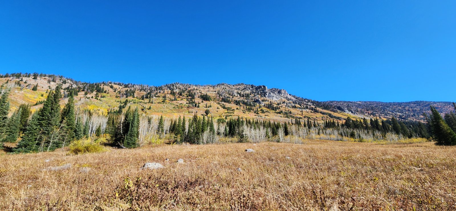 Spent a lot of time scanning hillsides for bears - was really hoping to 
see a grizzly (or dozen) after getting skunked in the Bob Marshall.