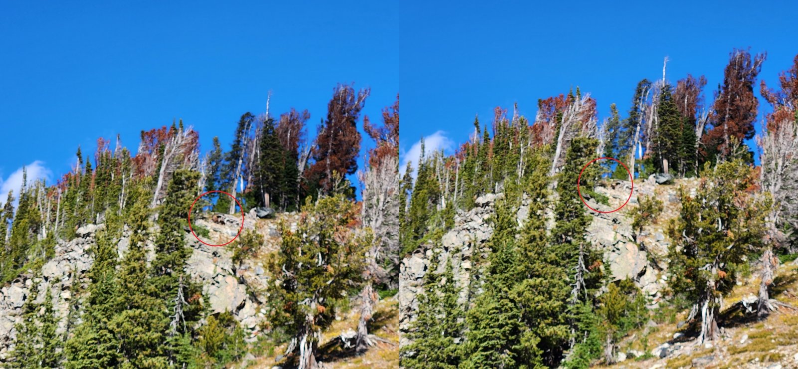 Trip photo from 010939