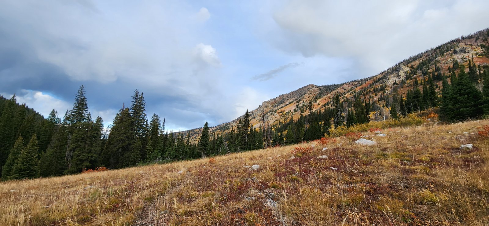 Easy-going morning - the fall colors seemed even more vibrant on our way out.