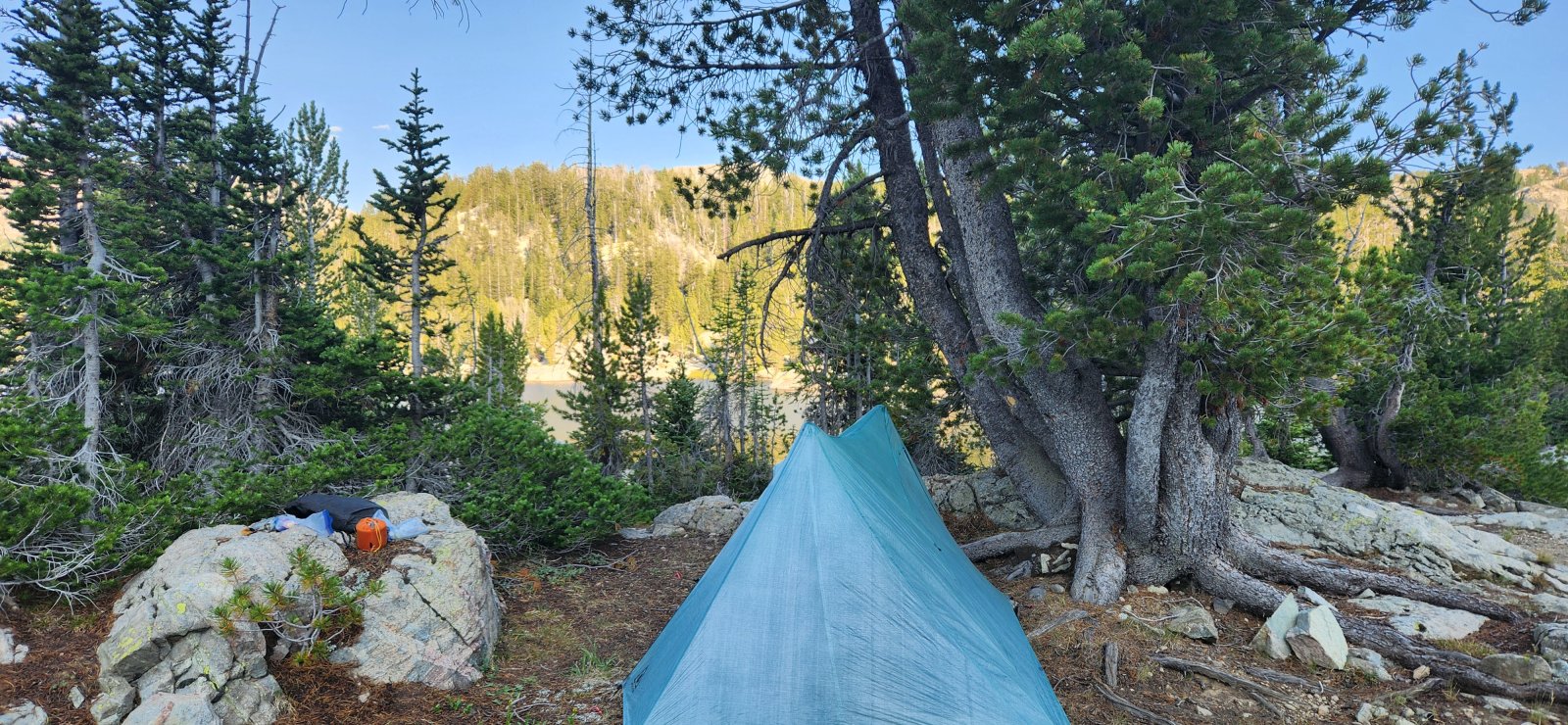 Lowest and most forested site of the trip. Also the smokiest - but the 
whole trip had better conditions than expected in that regard.