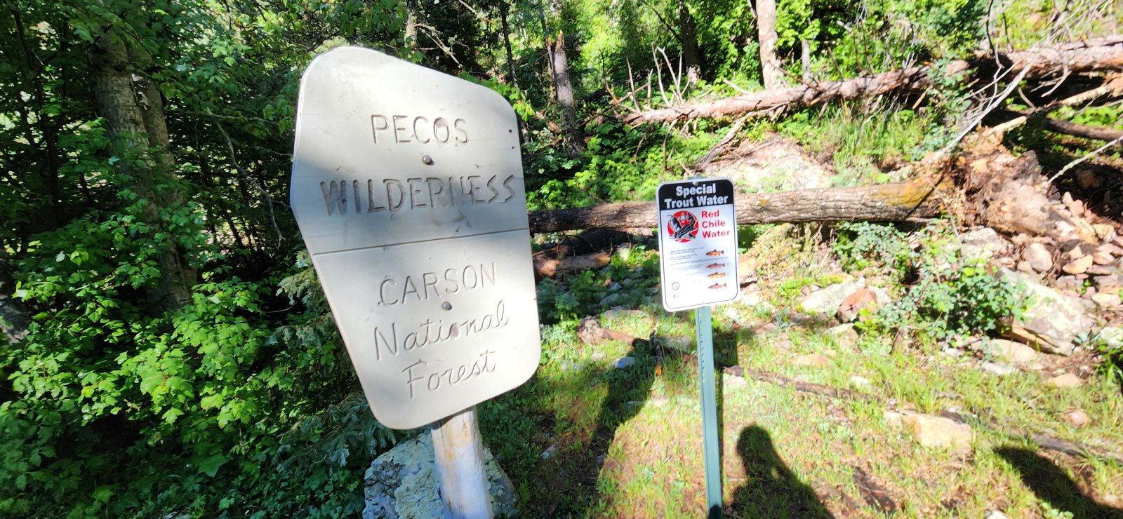 Beautiful views of the Rio Santa Barbara as we walked - along with pretty regular bovine companions for the first 6 or so miles.
