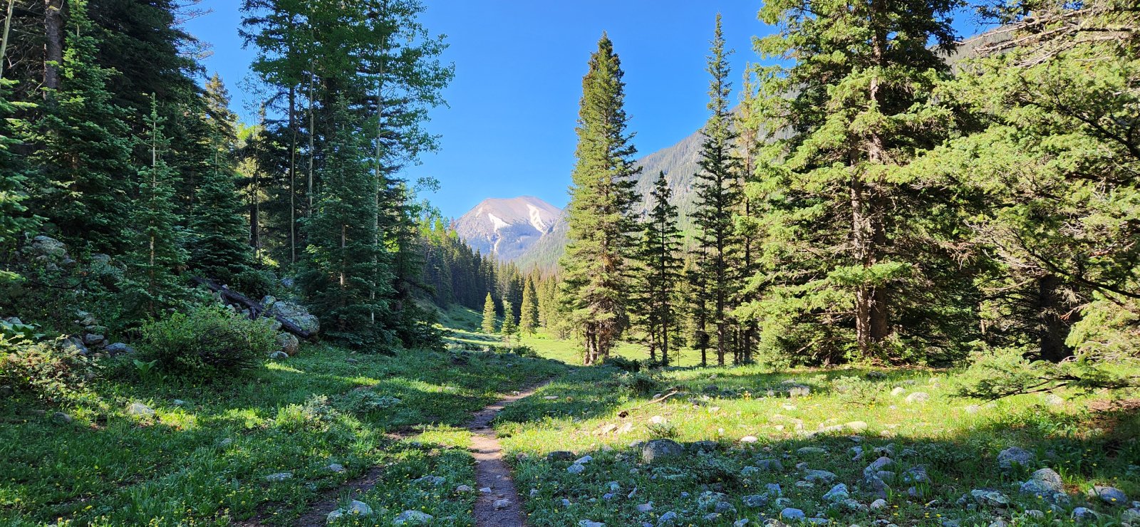 As the trees thinned our views improved as well. Lingering snowfields 
added an extra bit of beauty - we were a bit surprised how much snow 
actually remained.