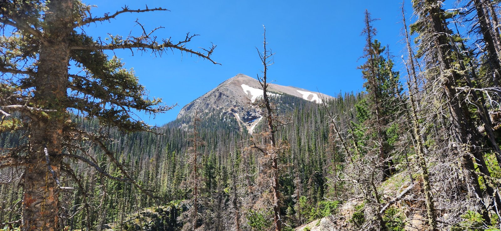 Closer look at Chimayosos Peak as we begin to climb a bit faster towards
 the pass that would take us to Truchas Lakes. I'd love to follow the 
path up to Chimayosos and the ridge beyond on a future trip.