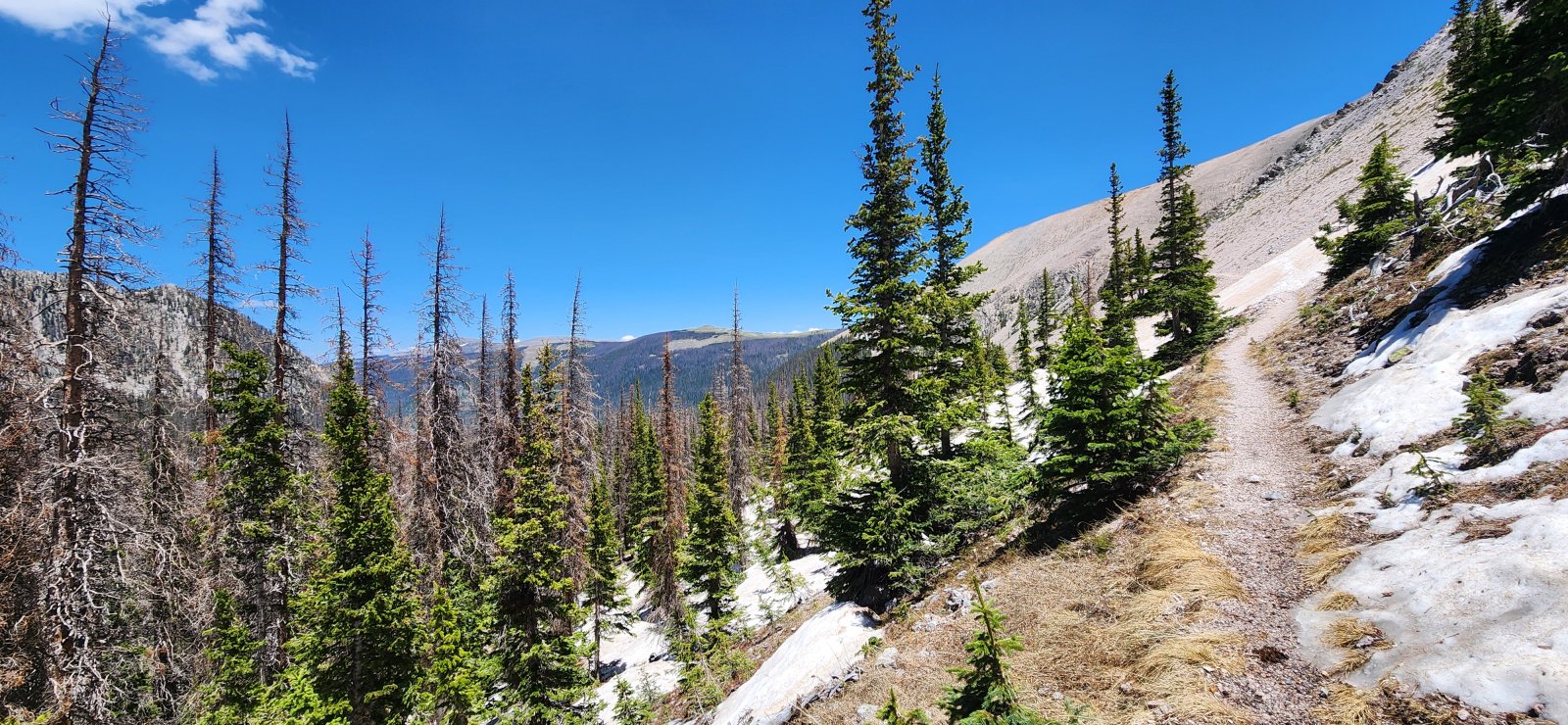 Grew a bit warm as we ascended above treeline for the first time. 
Occasional snowfields made the trail awkward to follow in a few spots - 
but not for more than a few steps at a time.