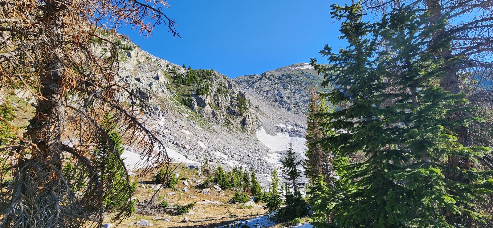 During breakfast (and dinner the previous night) we could occasionally 
hear bighorns moving around the ridge and talus fields above. We would 
get a better look as the day progressed.