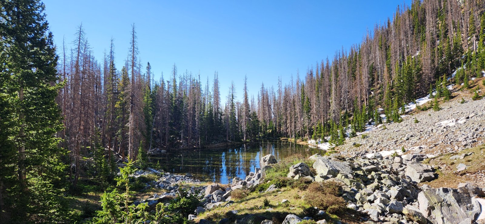 Looking south towards the Trailriders Wall and the path to Pecos Baldy. 
It looks like some wonderful walking and its another spot I hope to 
return and explore further.