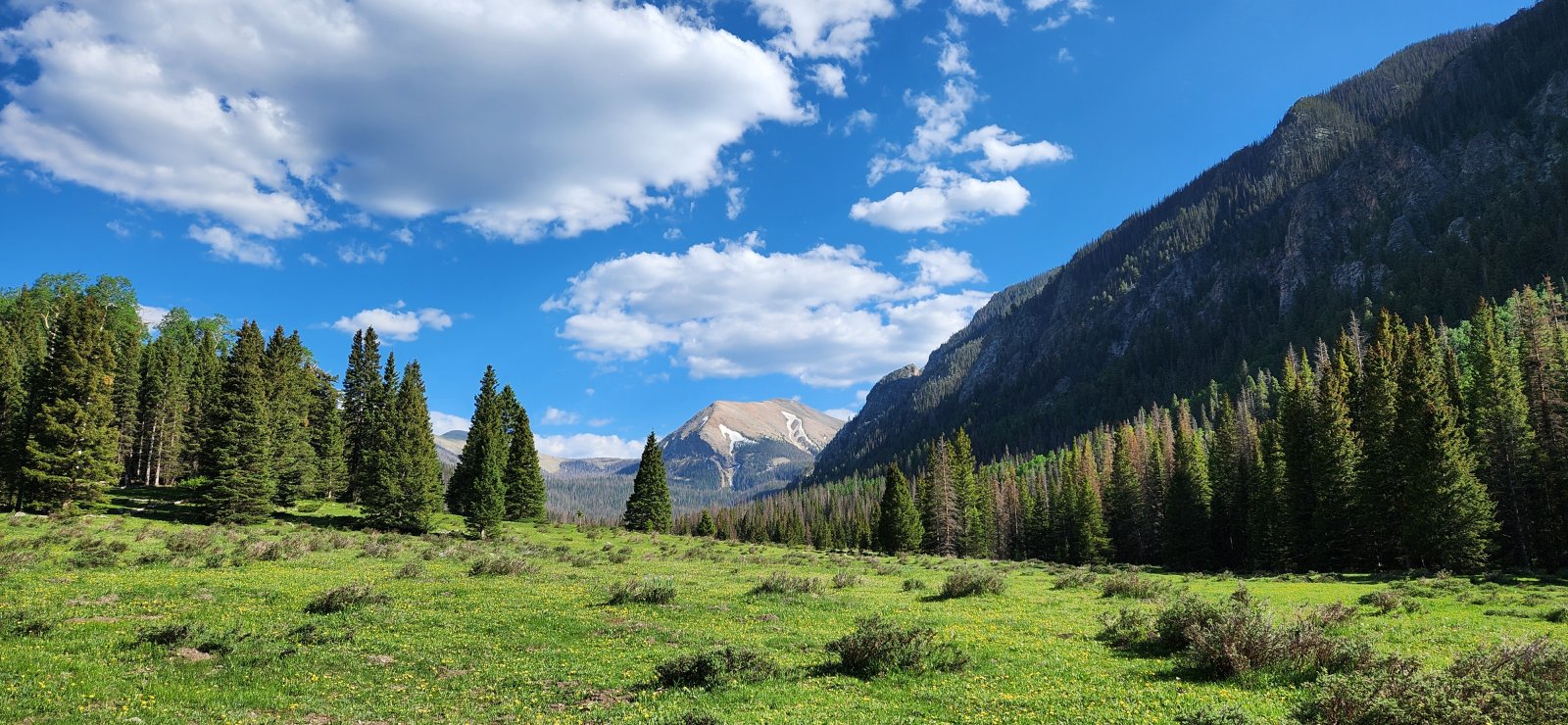 Back below treeline for a wonderful night's rest. The weather never 
disappointed - though I'm sure it'd be quite warm in just a few short 
weeks.