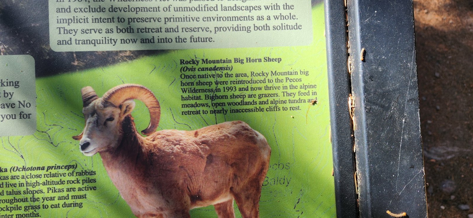 Really enjoyed our encounters with these folks. Some of the best viewing of their kind I've ever enjoyed.