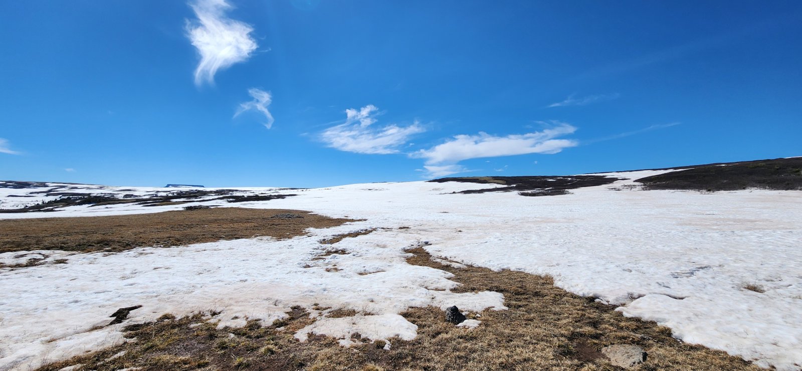 "Doesn't look too bad," he thought - foolishly.