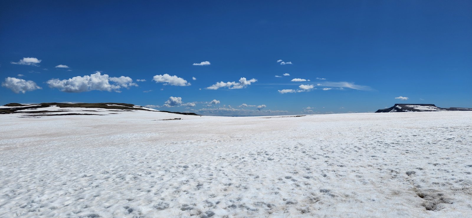 This photo taken while waist deep in what could only generously be called 'snow'.