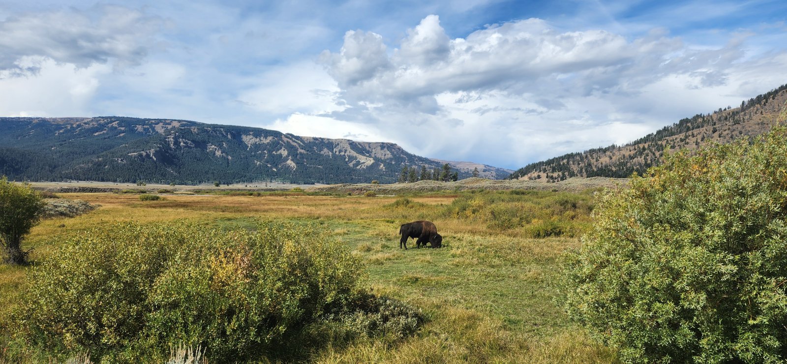 Trip photo from 011647