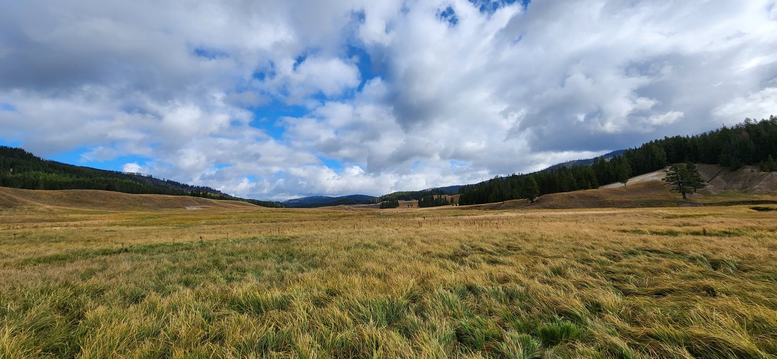 The walk down to the greater Pelican Valley along Pelican Creek is one 
of my favorites, too. (No wonder I wanted to do this trip again...)
