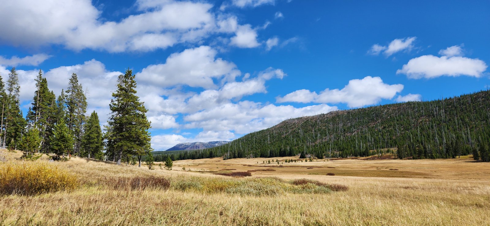Mist Creek Meadows.