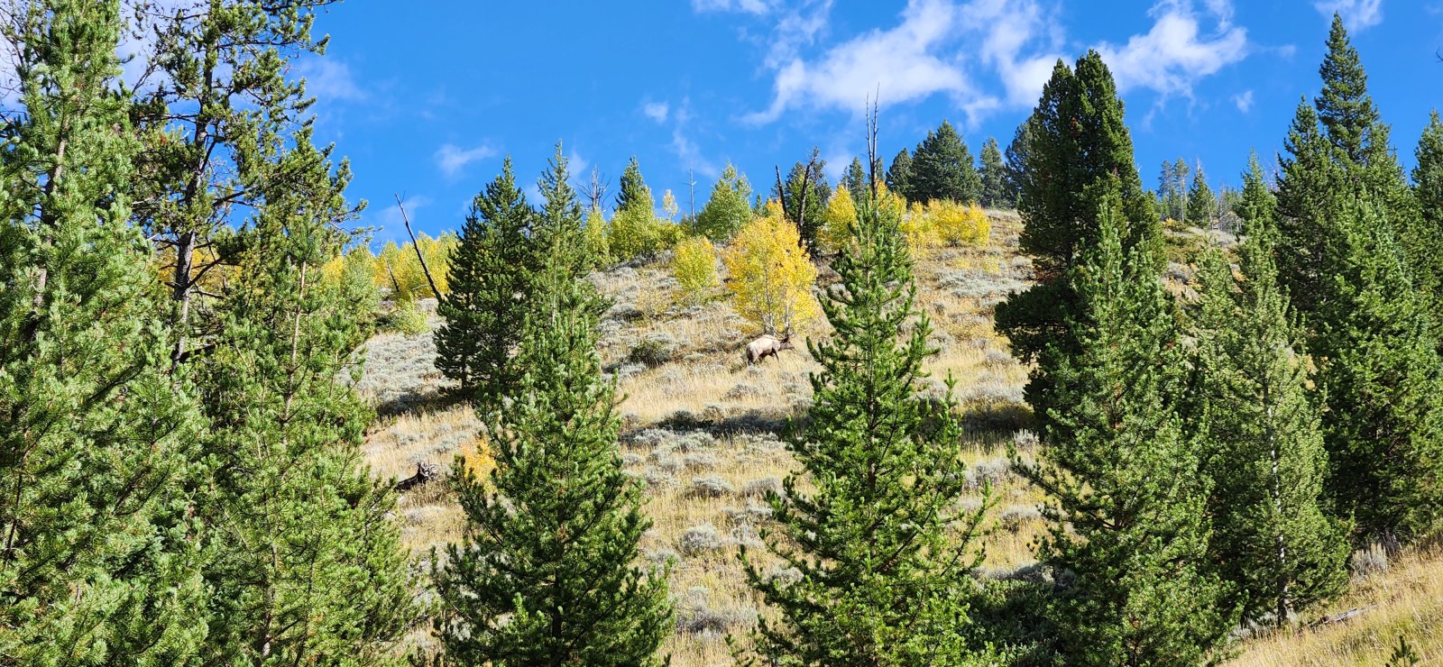 ...with the big man not far behind.