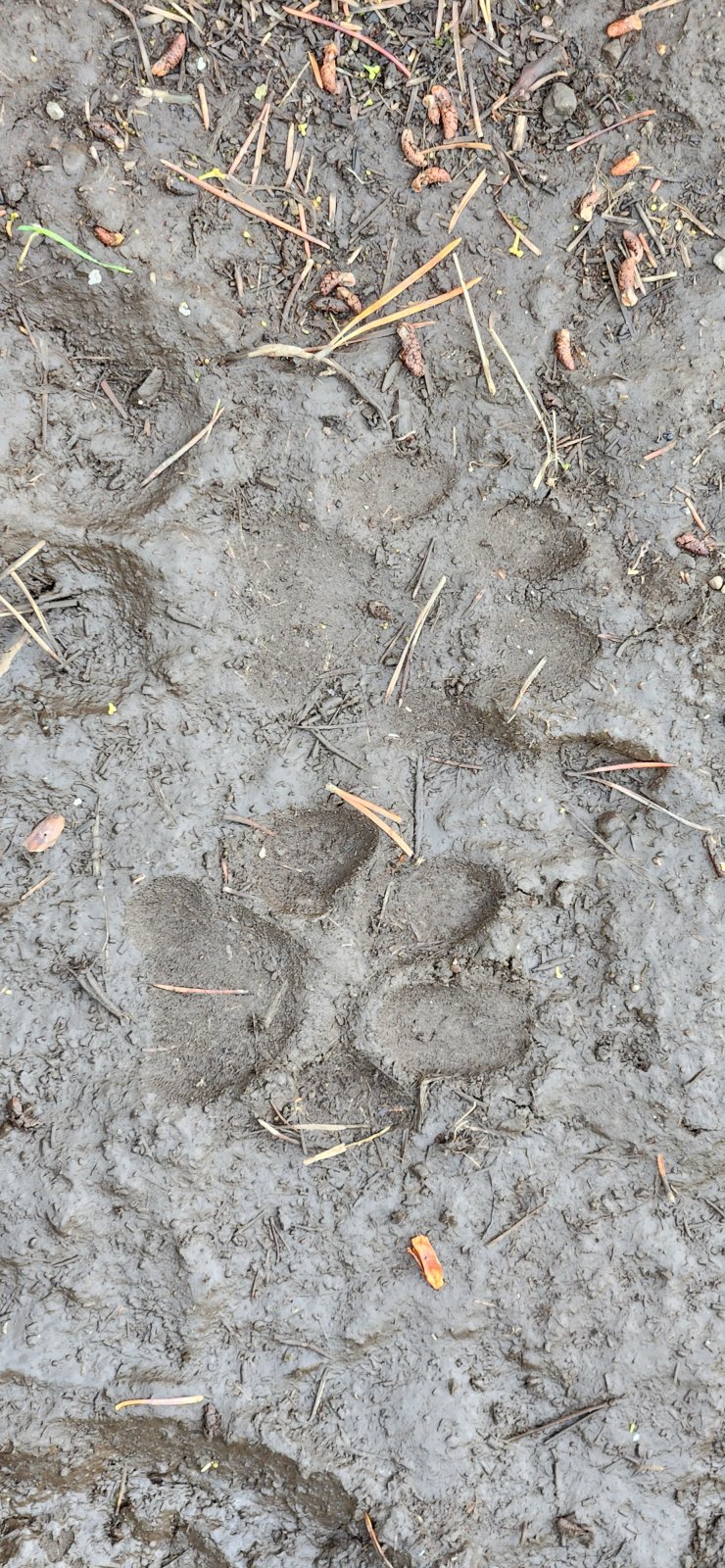 Trip photo from 011647