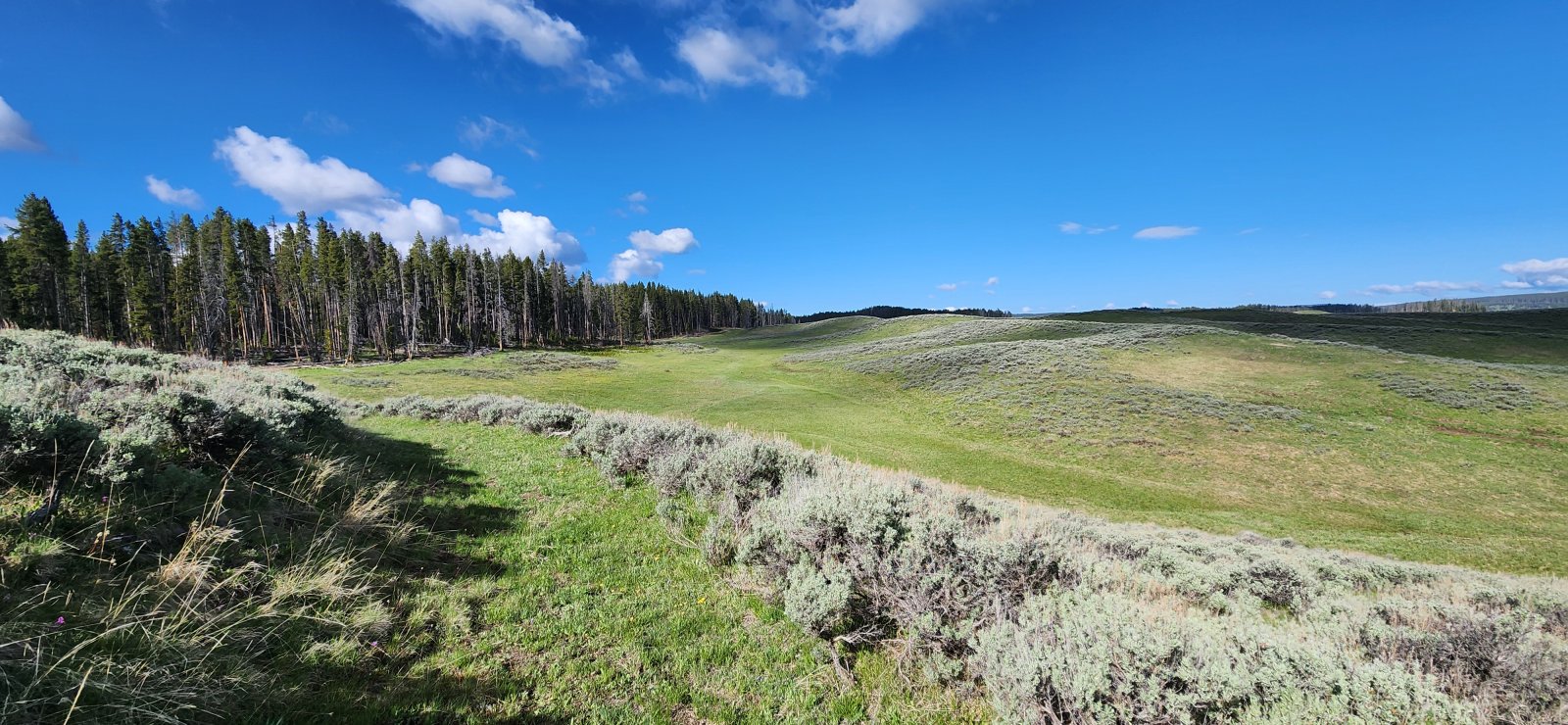 Walking down the old stagecoach road.