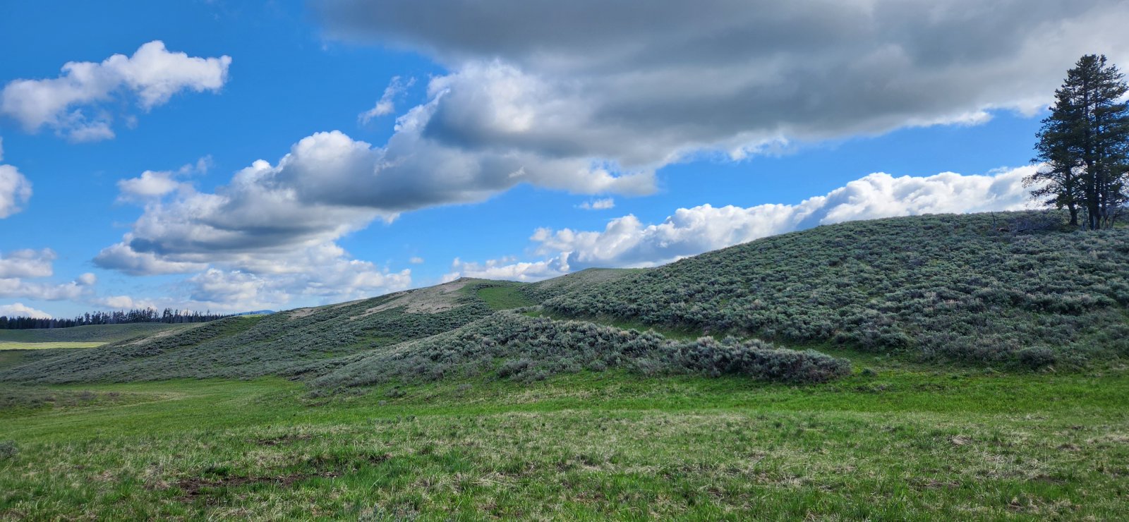Looking back towards the old road. Last time I was here it was all yellow/brown, so it was nice to see the bright greens.