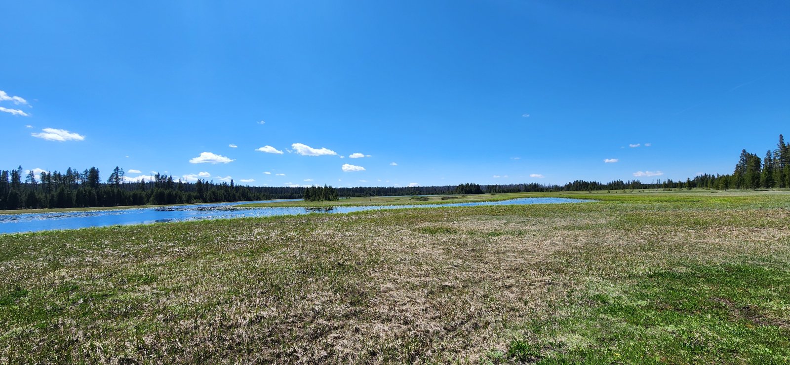 And out into Cygnet Lakes. It's been a while since I visited and I 
didn't really remember the trail fondly, but it was a sight for sore 
eyes and a wonderful place to grab a break on this day.