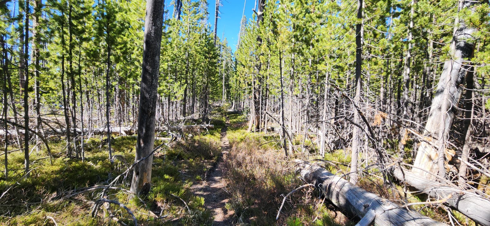 Headed back to Cygnet Lakes TH.