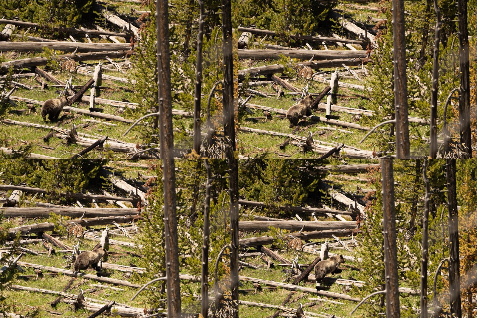 Nice action sequence.