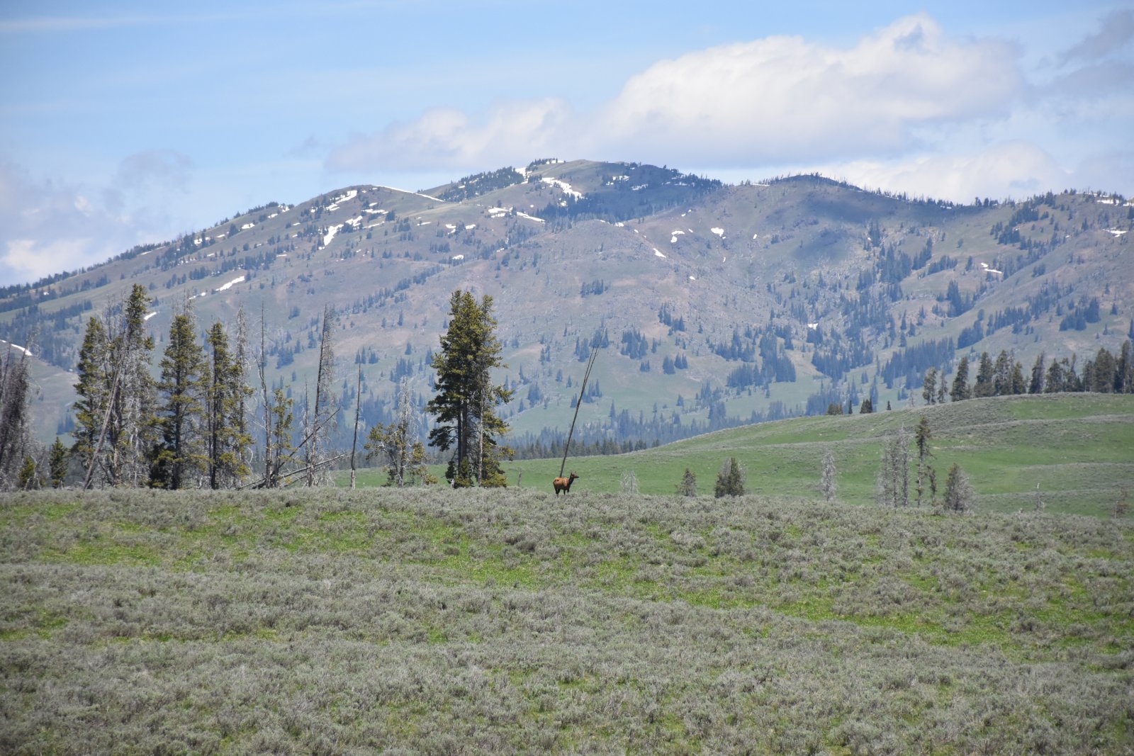 Photo from trip report