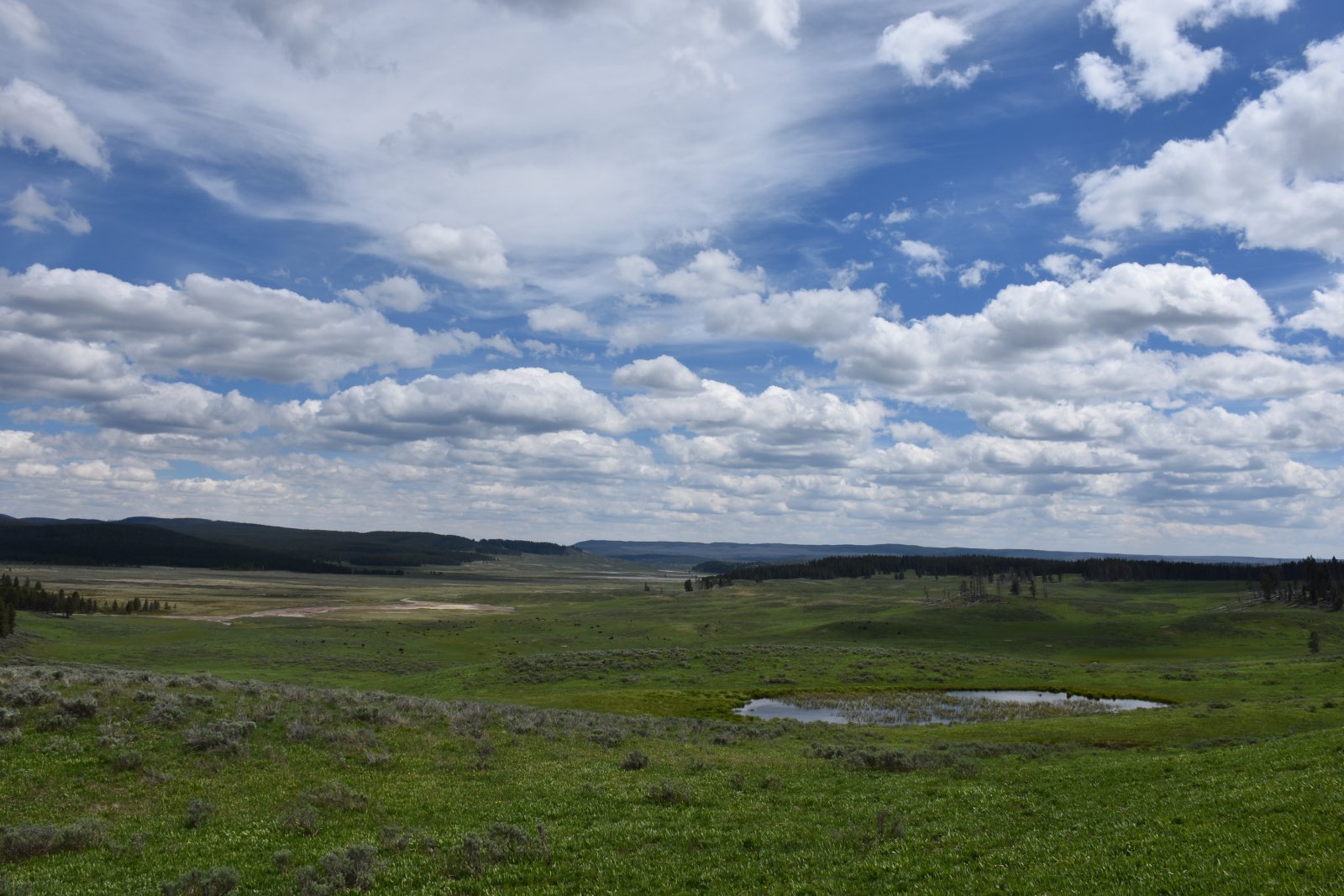 One last look across the valley before heading down to the trailhead.