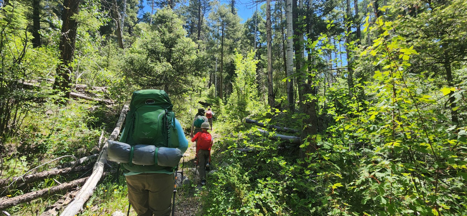 The lower sections were pretty dense brush, but even where the trail 
faded out it was pretty easy going. (Fair bit of elevation gain though -
 over 2.5k' in our 3.5 miles.)