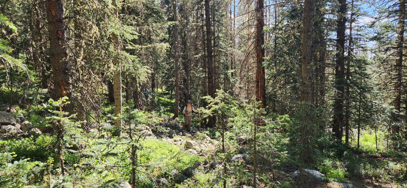 My son navigating the tougher terrain as we climbed above the trail.