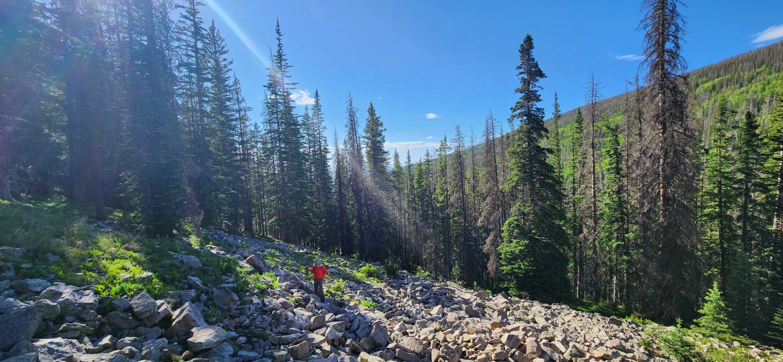 These rocks are pretty big for little legs, but my youngest enjoyed the rock-hopping.