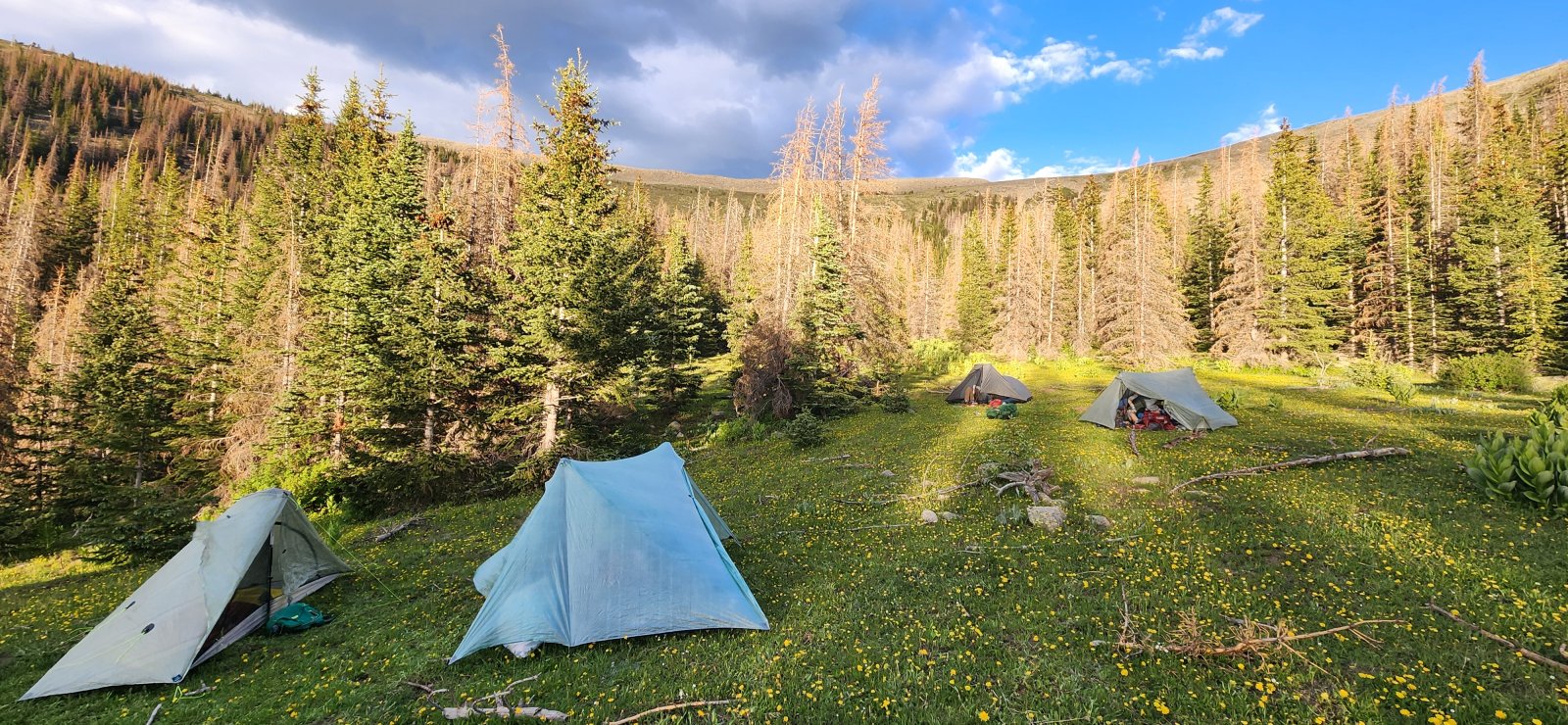 Home, sweet home. And a nostalgic look back at some of the many tents 
I've managed to acquire. (Most of the backpacking gear my buddies use is
 just my old stuff.)