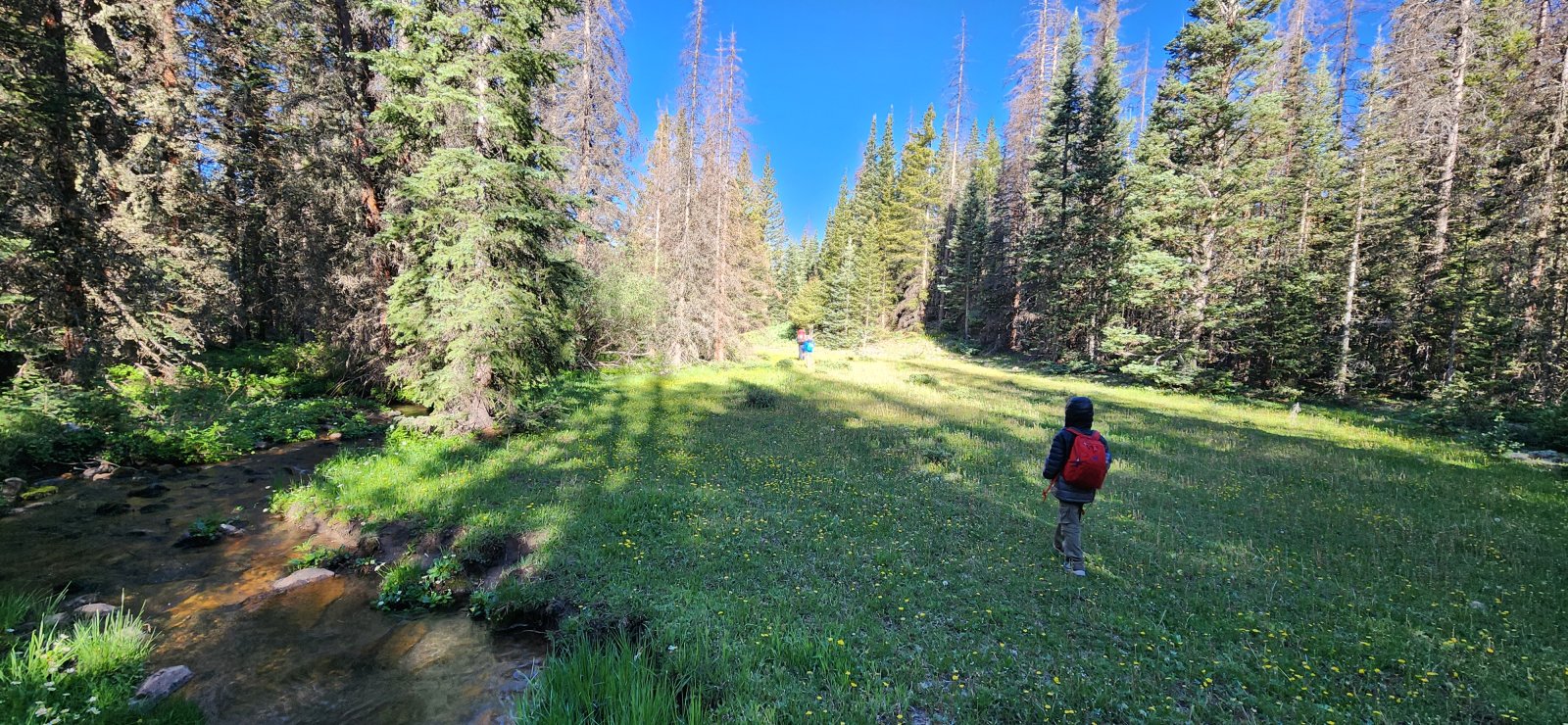 A little damp near the creek as we followed it more closely on our 
return. Nobody in this crew is scared of wet feet though. (At least not 
any more.lol)
