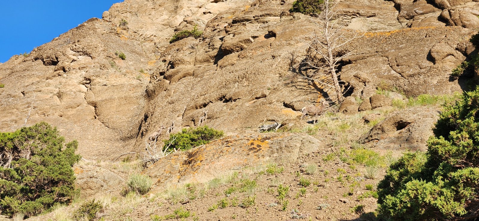 They were not very skittish and mostly watched calmly as we passed by.