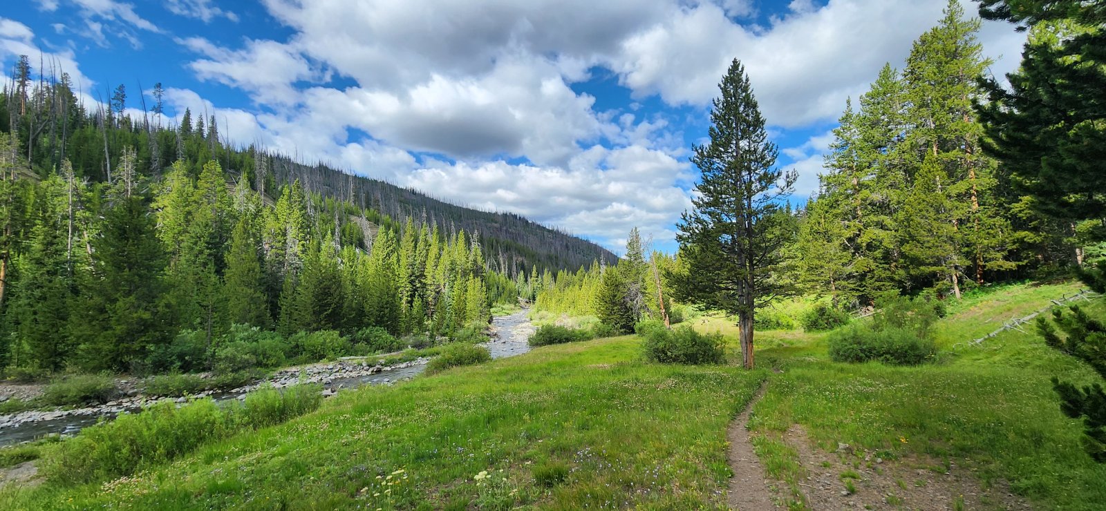 The morning brought beautiful conditions and just enough clouds to keep things cool