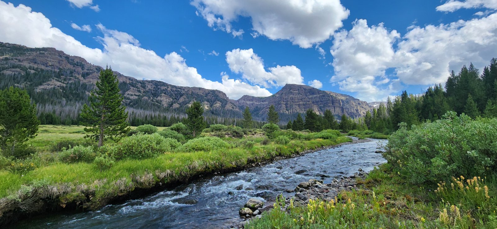 It was a bit rainy on the first half of our hike up towards Hidden 
Creek, but things opened up right as we found the Hidden Creek meadows.