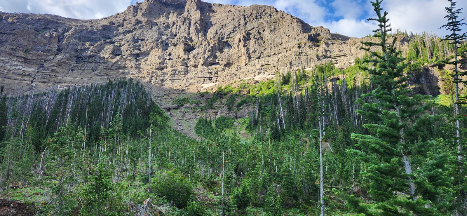Turns out I wasn't alone in this thinking. As I approached - planning on
 going straight up the gully - I noticed this slight trail off to the 
left-hand side.