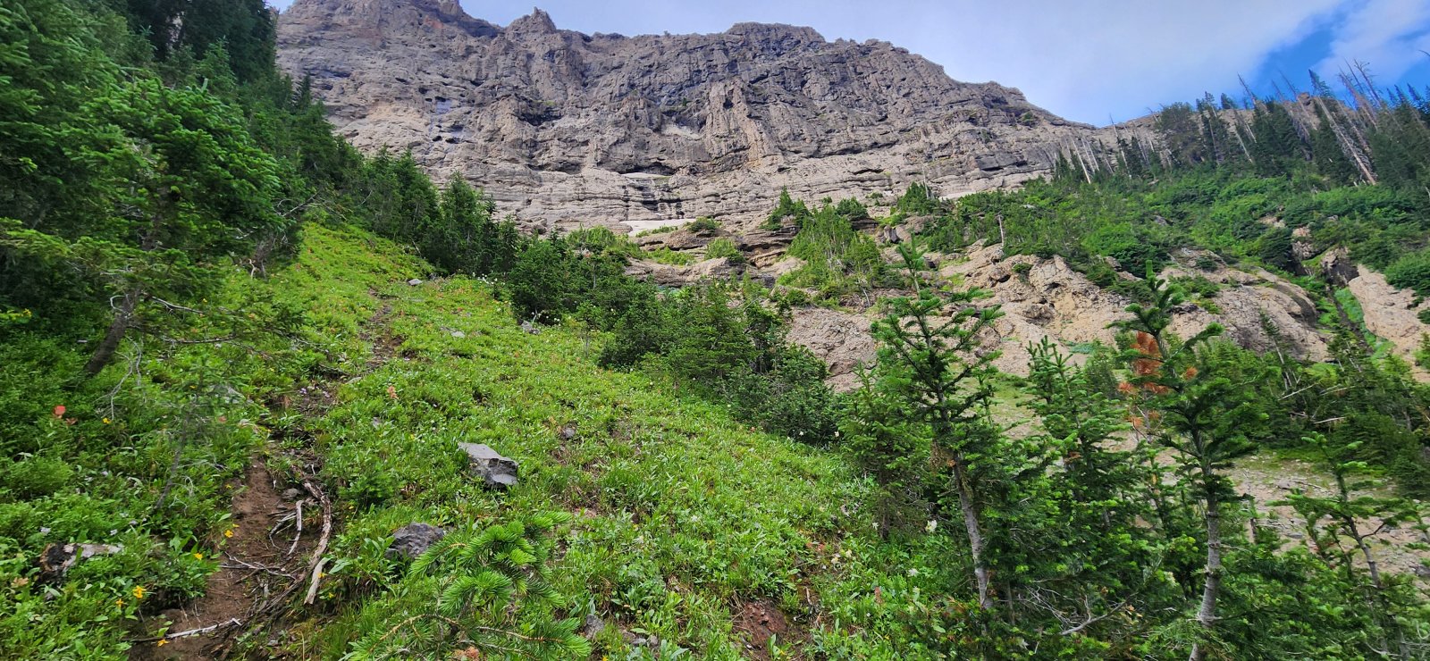 Turns out I wasn't alone in this thinking. As I approached - planning on
 going straight up the gully - I noticed this slight trail off to the 
left-hand side.