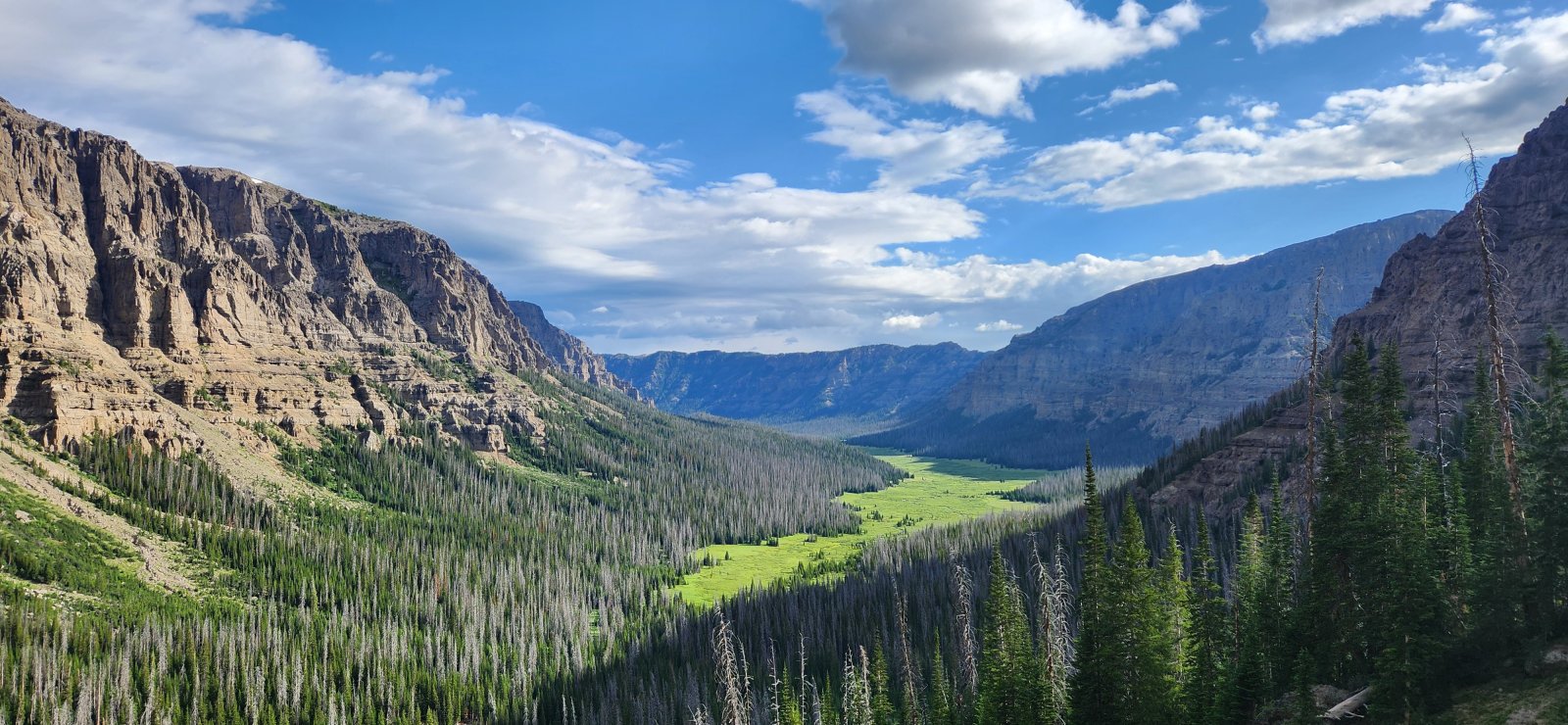 It was fairly steep, but had secure footing and took me right above the problematic cliff band.