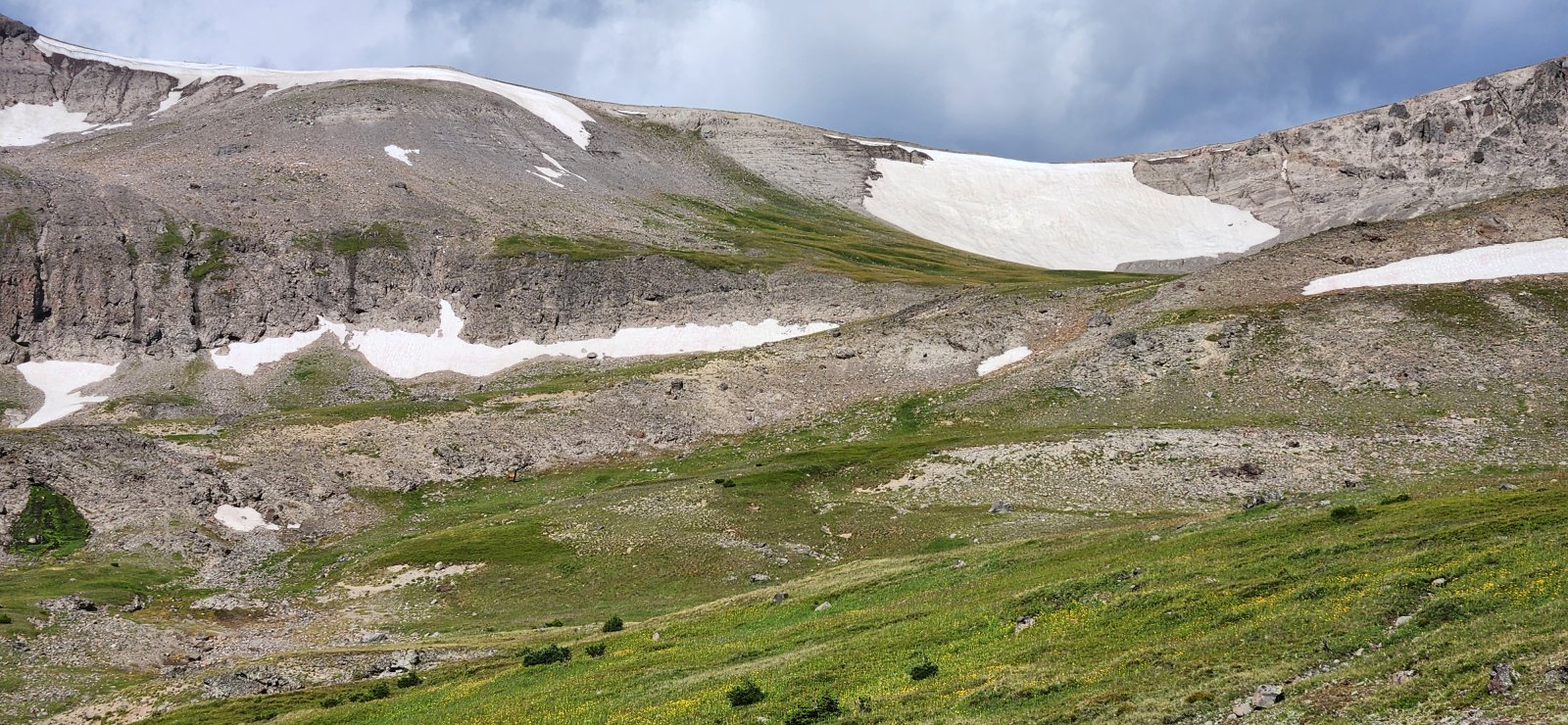 Can you spot the elk? I spotted 3 or 4 before they darted over the ridgeline.