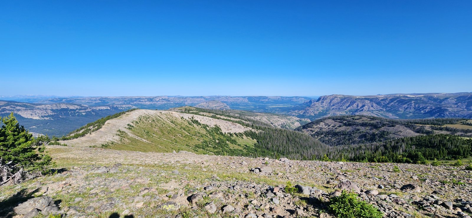 Views down the plateau - Hawk's Rest in the distance.