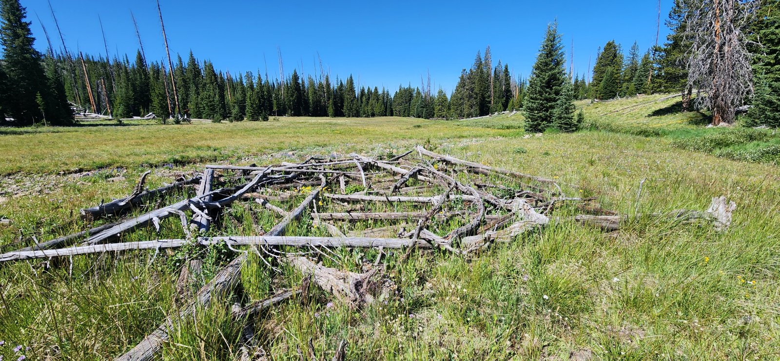 Interesting little 'ruin' in a meadow along the trail. Not sure what it 
was, but it seemed to have been arranged intentionally (at some point, 
at least).