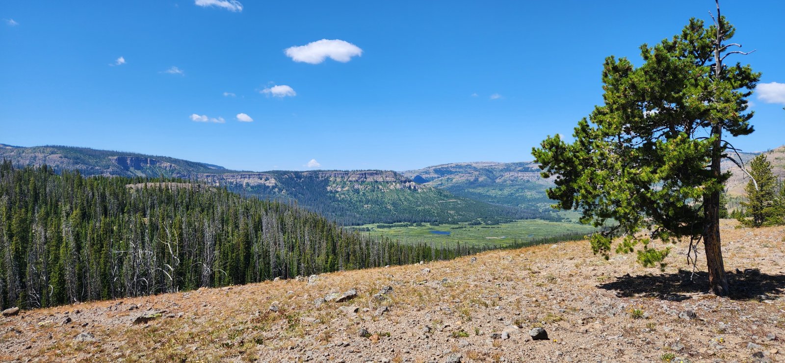 Looking out towards Yellowstone Point. Glad I wouldn't be doing*that*particular bushwhack again. (Joke's on me, if you read on.)