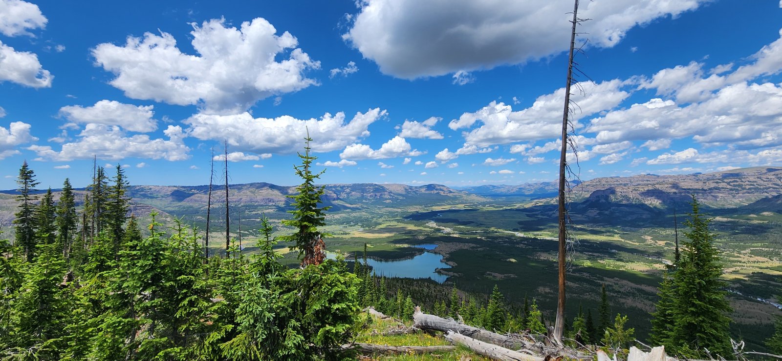 But I didn't - and was rewarded with some fantastic views!