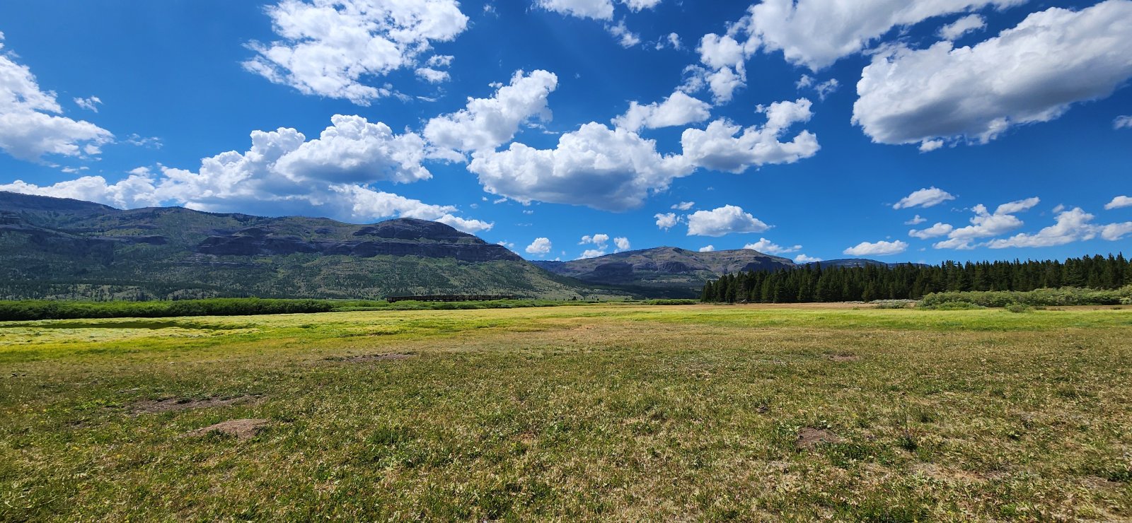 Rarely have I been so happy to be at the bottom of something.