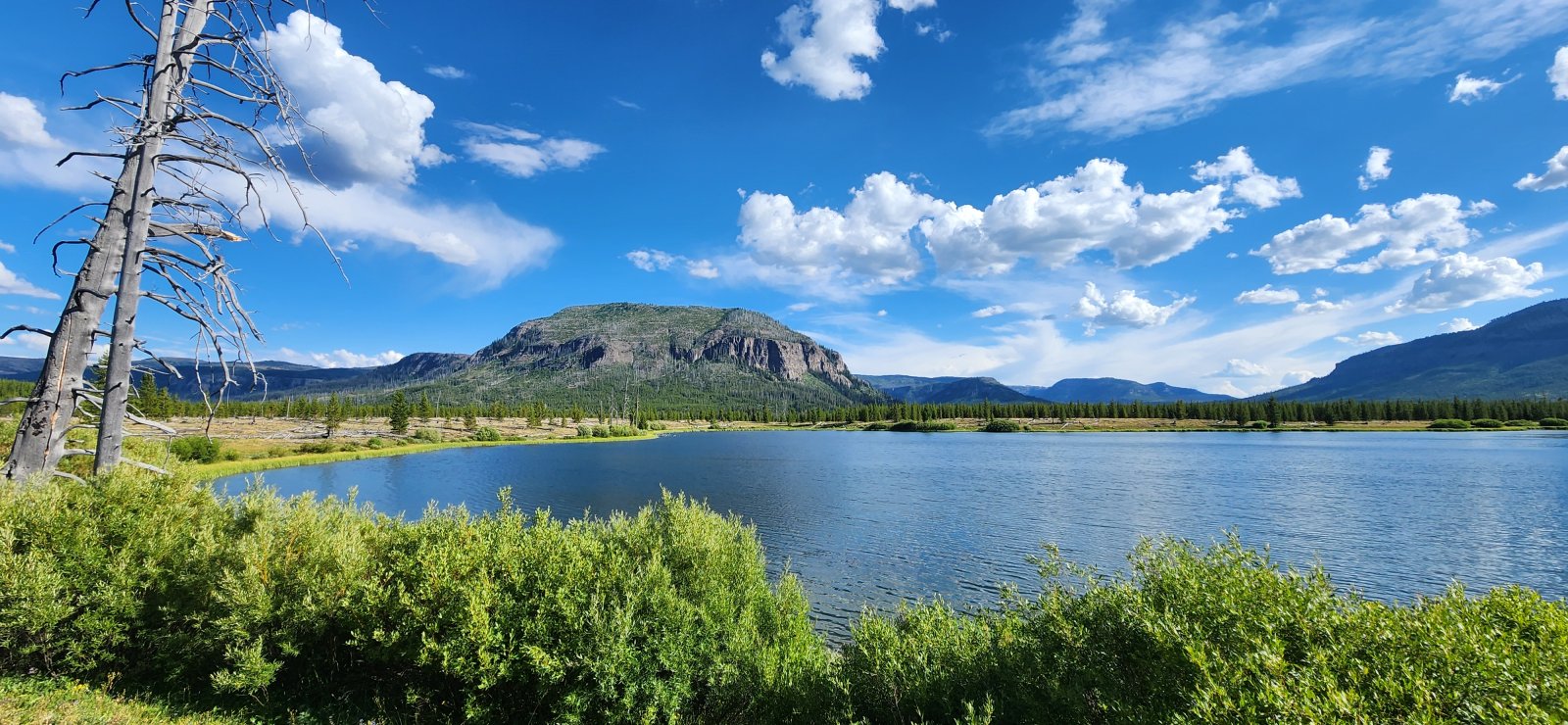 Wonderful dinner spot to sit and consider the day's choices.