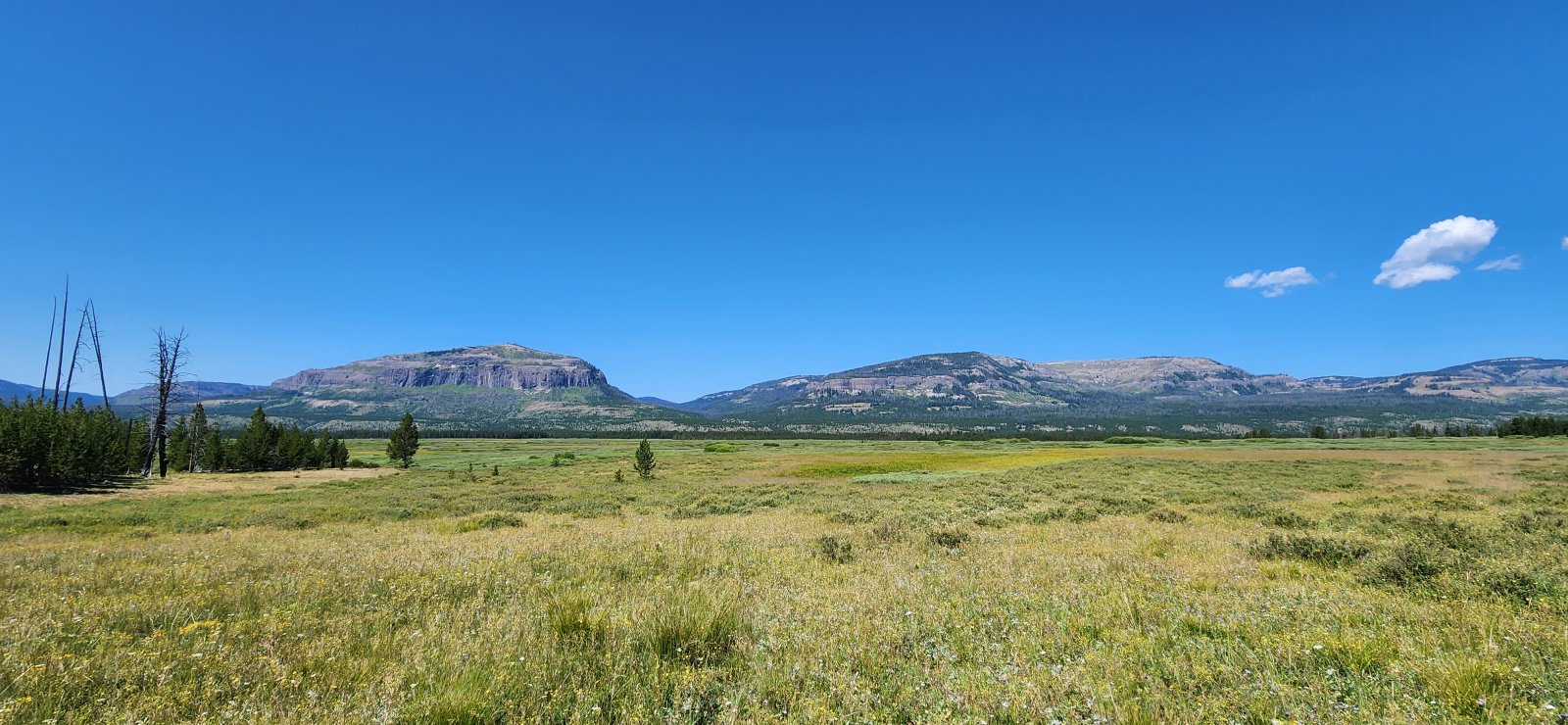 Hard to find wide open spaces like these anywhere else.