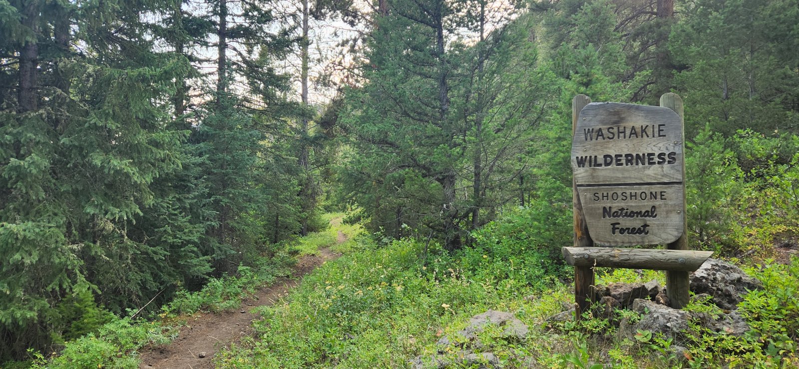 Exiting the wilderness. Don't worry, I'll be back.